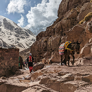 Top 10 walking holidays in Africa