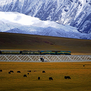 Taking the Sky Train to Tibet