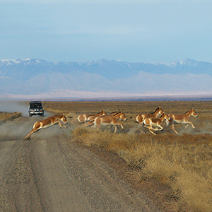 Kazakhstan nature, national parks & wildlife