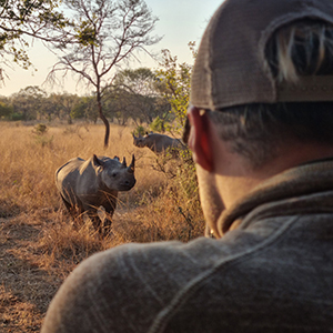 Volunteering with rhinos
