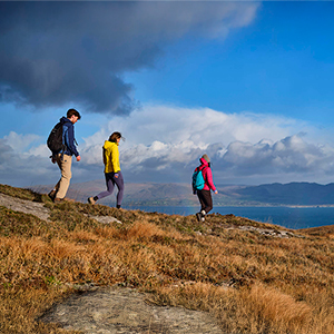 Wild Atlantic Way tours
