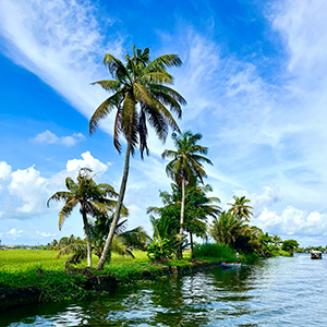 Best time to visit South India