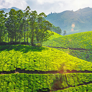 South India map & highlights