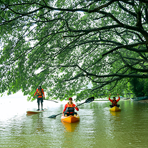 Family holidays in South India