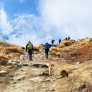 Why go on a small group walking holiday