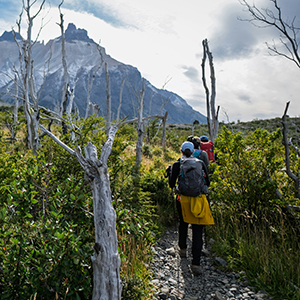 Where to go on a small group walking