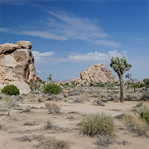 The deserts of California