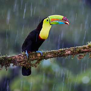 Best time for a family holiday in Costa Rica