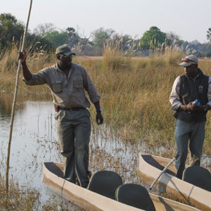 Okavango Delta travel guide