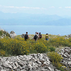 Top 5 unusual holidays in Corfu