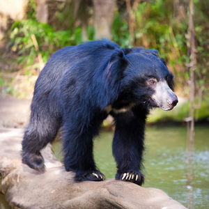 How to choose a volunteer holiday in India