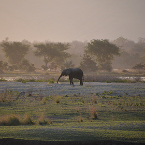 Mana Pools National Park in Zimbabwe