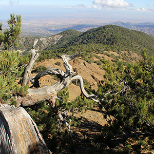 Troodos Mountains holidays