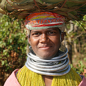India tribal tourism