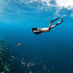 Maldives snorkelling cruises