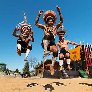 Top 10 unusual holidays in India