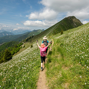 Our brilliant walking holidays