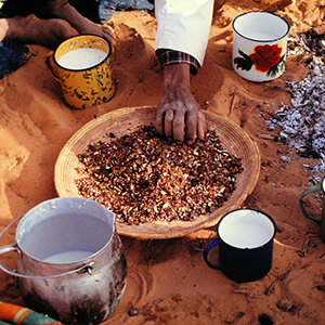 Algeria food & drink
