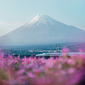 Top 10 rail holidays