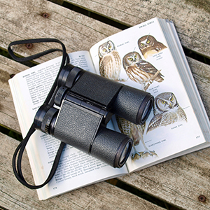 Bird watching tours for beginners