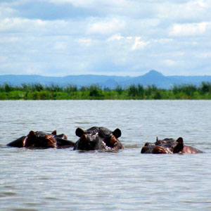 Best time to visit Malawi