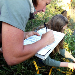 Wildlife volunteering in South Africa