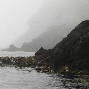 Subantarctic Islands travel guide