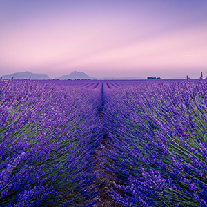 Best time to visit France