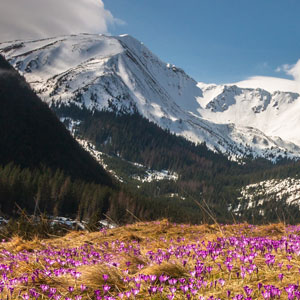 Best time to visit Poland