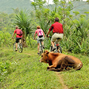 Things to do in Sri Lanka