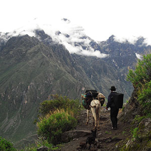 Things to do in Peru