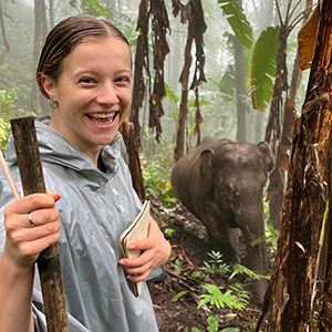 Elephant watching in Thailand