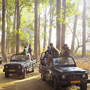 What does a tiger safari entail?