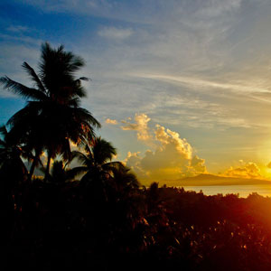 Sulawesi travel guide