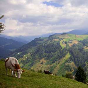 Walking in Romania travel guide
