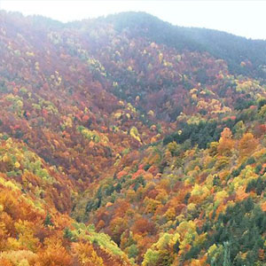 Best time to go to the Spanish Pyrenees