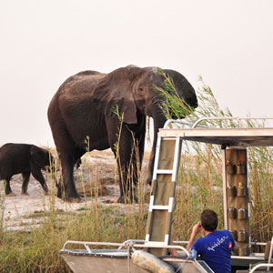 Botswana travel guide
