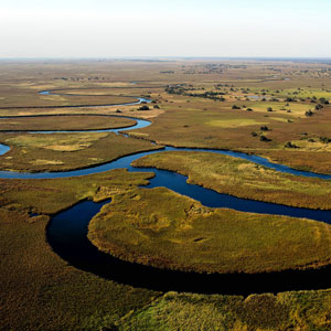 Okavango Delta, Botswana