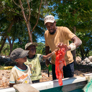 Marine conservation travel guide