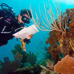 Marine Conservation Activities