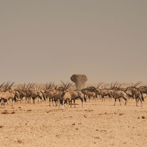 Top lodge safari destinations