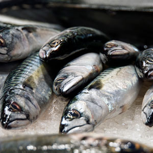 Top 10 food holidays in Europe