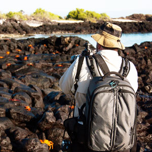 Galapagos multi activity map & highlights