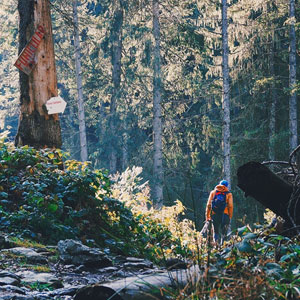 Top 10 active short breaks