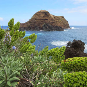 Things to see & do in Madeira