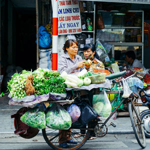 Vegan travel guide