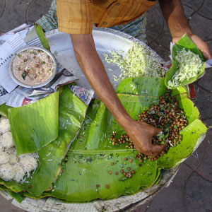 Vegan holidays in India