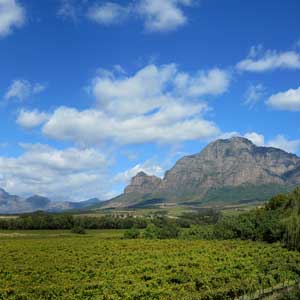 Wine tasting holidays in South Africa