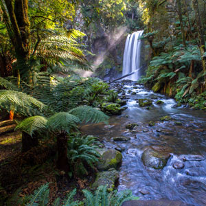 Independent travel in Australia