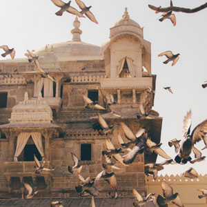 Rajasthan travel guide